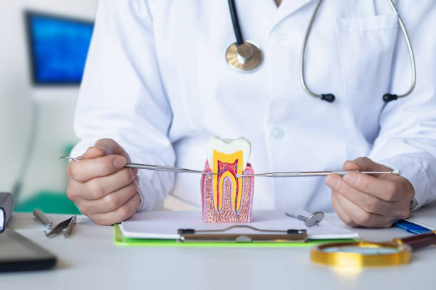 Best Emergency Dental Care for Broken or Chipped Teeth in Mcminnville, OR